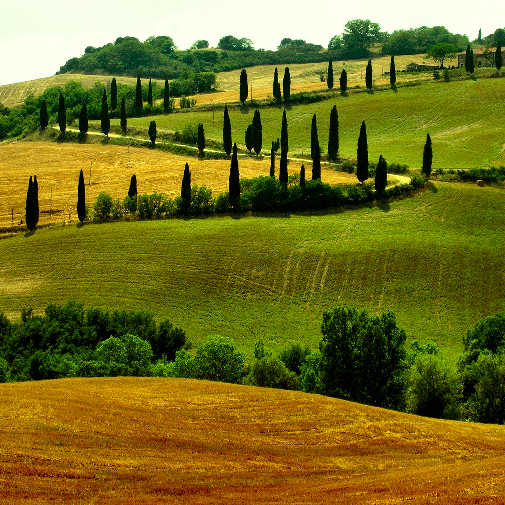 https://www.tripsite.com/site/assets/files/1341/tuscany1.jpg